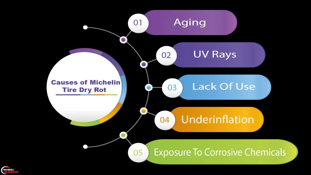 Causes Of Michelin Tires Dry Rot